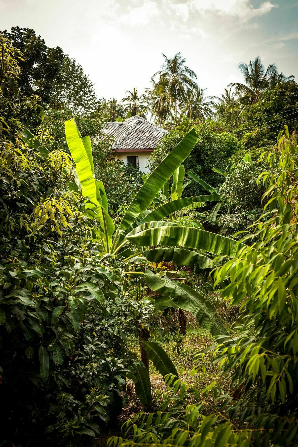 Cashew Nut Village Bophut Buitenkant foto
